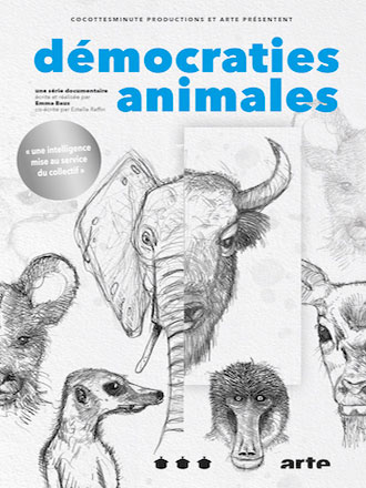 Démocraties animales / deux films documentaires de Emma Baus et Estelle Raffin | 